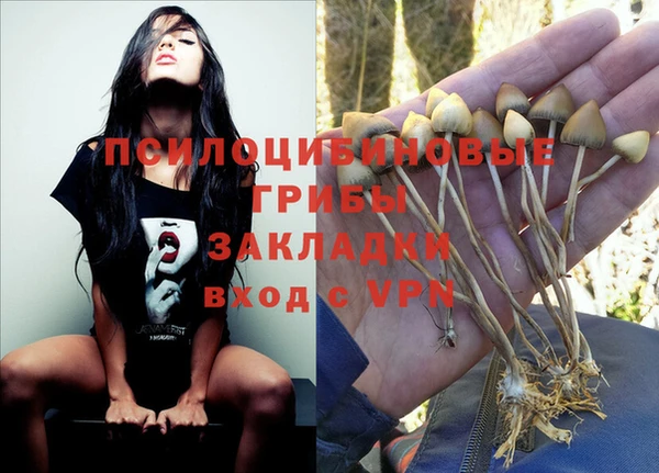 бутират Магас