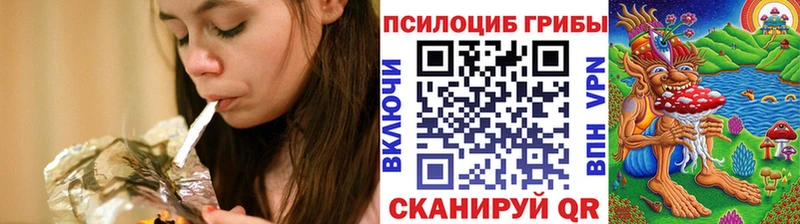 Купить Миасс Псилоцибиновые грибы Psilocybe